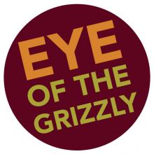 Eye of the Grizzly
